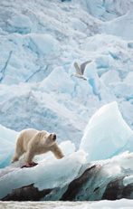 Terres de Glace