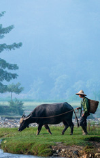 Peuples et environnement