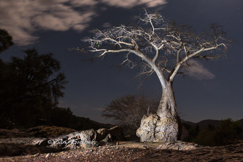 Dany Grahek - Photographe