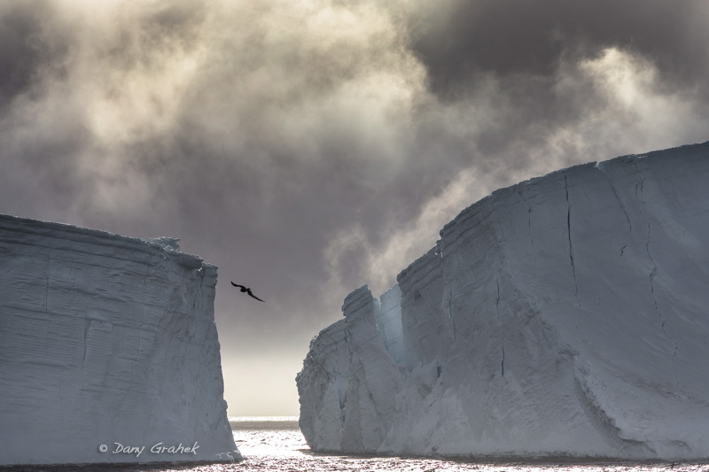 Dany Grahek - Photographe