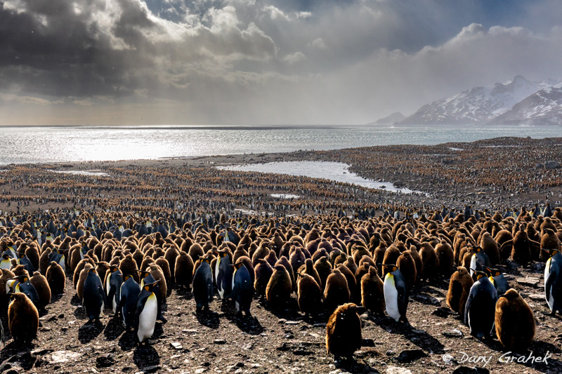 Dany Grahek - Photographe