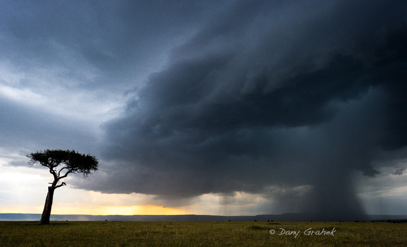 Dany Grahek - Photographe