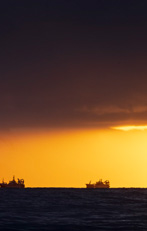Dany Grahek - Photographe