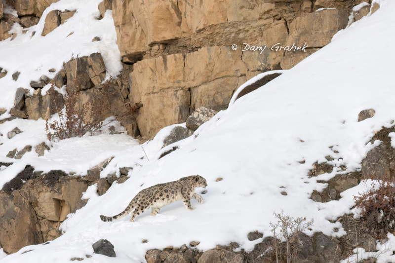 Dany Grahek - Photographe