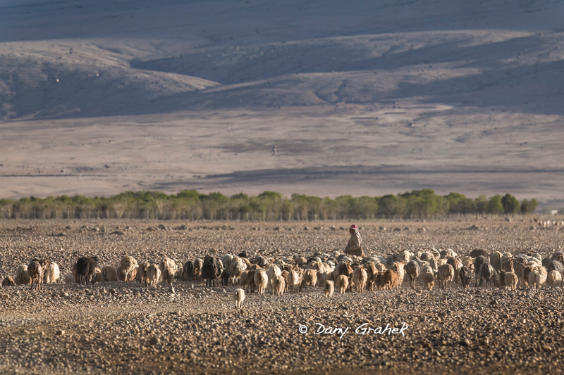 Dany Grahek - Photographe