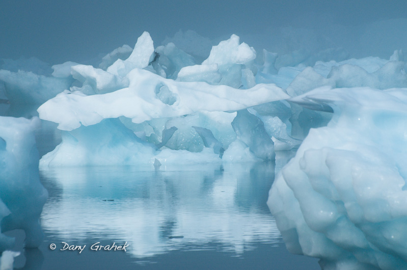 Dany Grahek - Photographe